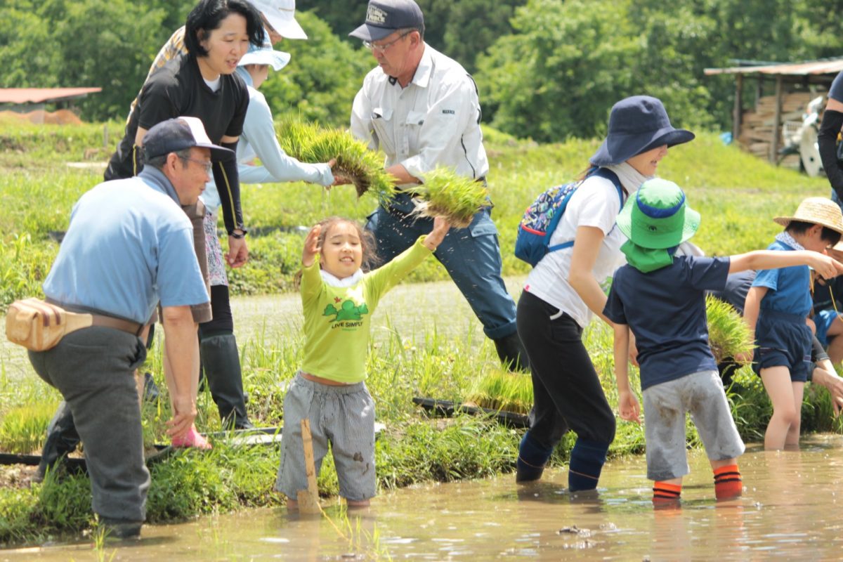 Tabica 横瀬町 寺坂棚田で田植え体験 よこらぼ 横瀬町とコラボする研究所